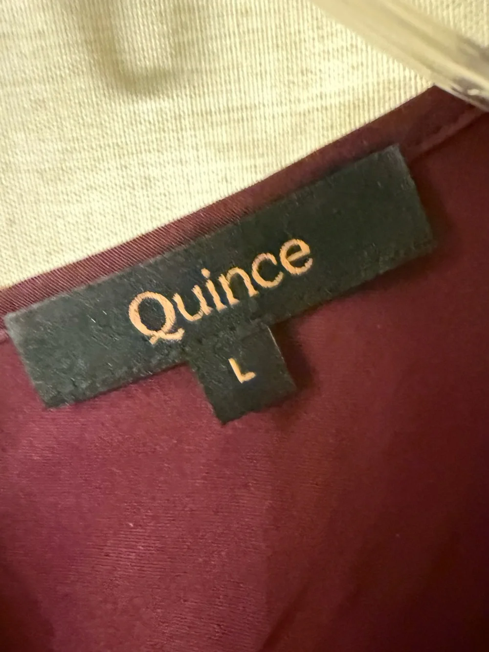 Quince washable silk tank dress. Worn once. - Picture 2 of 2